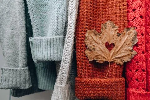 Autumn concept. Fall maple leaf in heart shape on cozy warm sweater. Knitt... Stock Photos