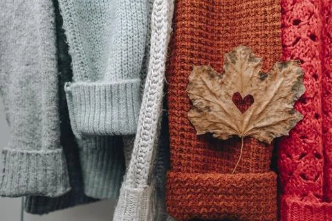 Autumn concept. Fall maple leaf in heart shape on cozy warm sweater. Knitted Stock Photos
