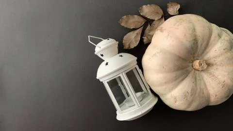 Autumn concept flat layout. Topview of pumpkin and white lantern with copy space Stock Photos