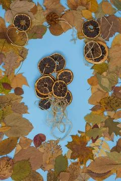 Autumn concept frame background. Leaf frame with dry citrus fruits slices of  Stock Photos