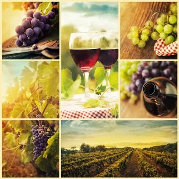 Autumn concept Stock Photos