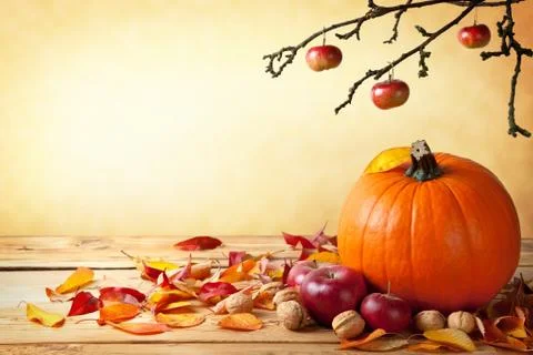 Autumn concept Stock Photos