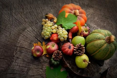 Autumn concept Stock Photos
