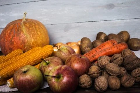 The autumn concept Stock Photos
