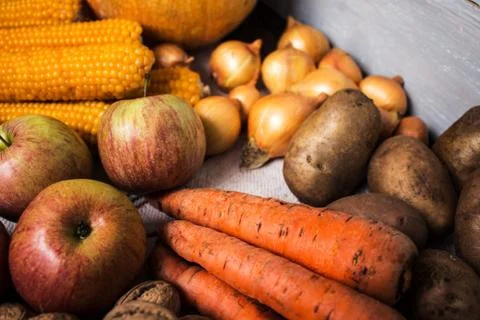 The autumn concept Stock Photos