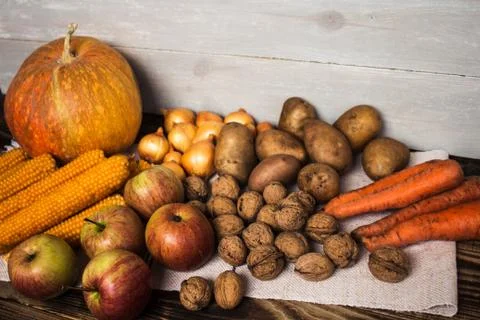 The autumn concept Stock Photos