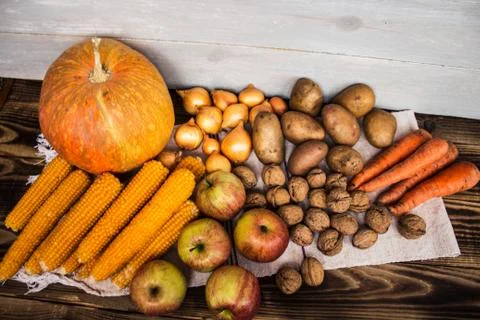 The autumn concept Stock Photos