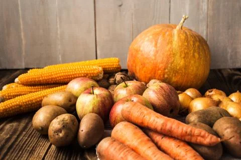 The autumn concept Stock Photos