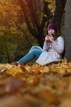 Autumn concept Stock Photos