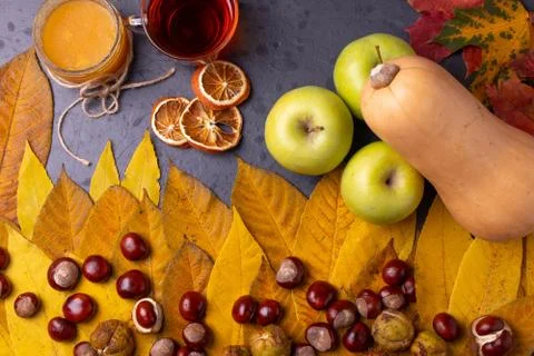 Autumn concept Stock Photos