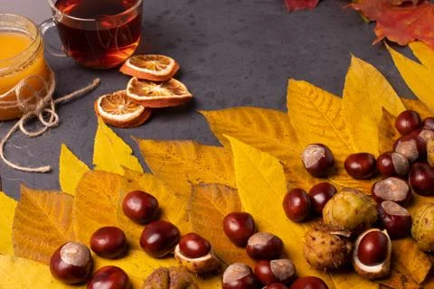 Autumn concept Foto stock