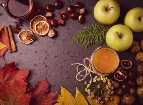 Autumn concept Stock Photos