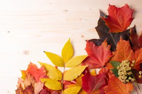 Autumn concept Foto stock