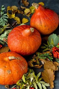 Autumn concept with a pumpkin on a dark background with autumn leaves Stock Photos
