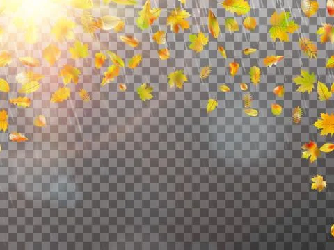 Autumn concept template with copy space. EPS 10 vector Ilustración de archivo