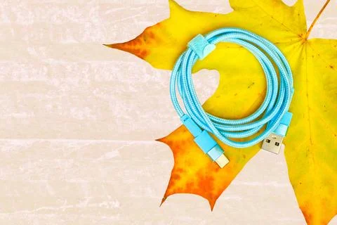 Autumn connection.Azure folded usb plug cable on maple leaf Stock Photos