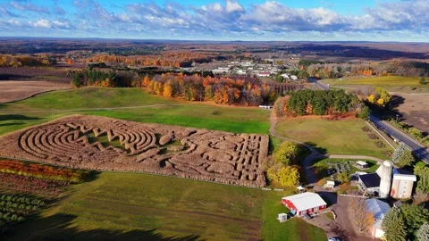 Autumn corn maze patterns on a farm field in Traverse City, Michigan, USA, Fall Stock Footage 328793137