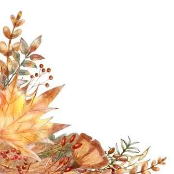Autumn corner frame background with berries and fall leaves isolated on white Stock Illustration
