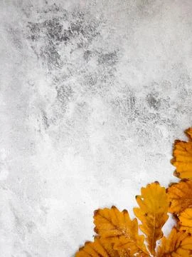 Autumn corner marble background yellow oak leaves,autumnal frame Stock Photos