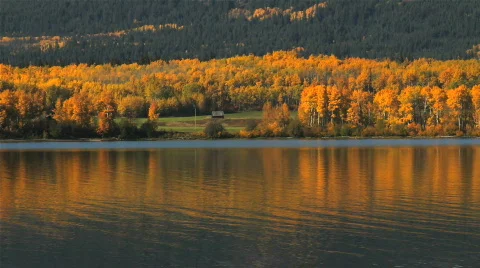 Autumn Cottage Video stock 862801