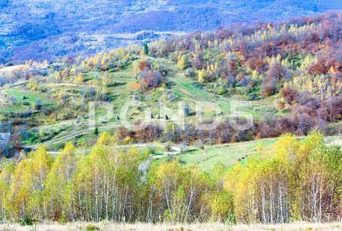 Autumn country landscape (carpathian, ukraine). Stock Photos