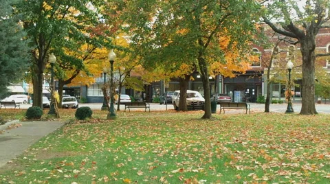 Autumn at the Courthouse Stock Footage 43448333