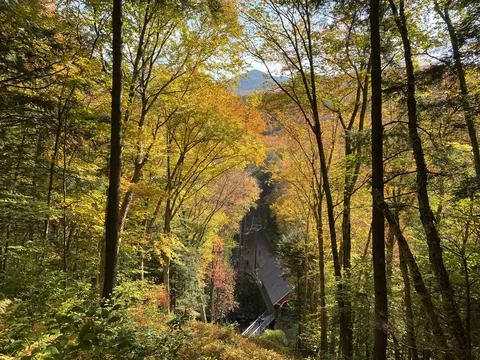 Autumn Covered Bridge Stock Photos