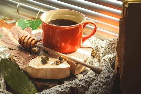 Autumn, cozy atmosphere, hot tea,coffee by the window Stock Photos