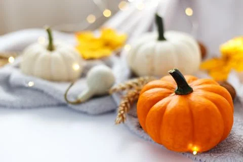 Autumn cozy composition Stock Photos