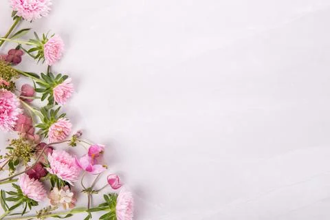 Autumn creative composition asters, hydrangea flowers on gray background. Fall Stock Photos