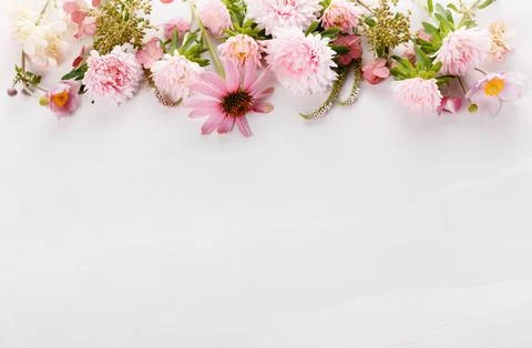 Autumn creative composition asters, hydrangea flowers on gray background. Fall Foto stock