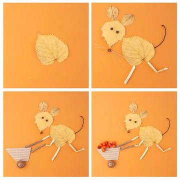 Autumn creative composition, easy following tutorial, step by step instruct.. Stock Photos