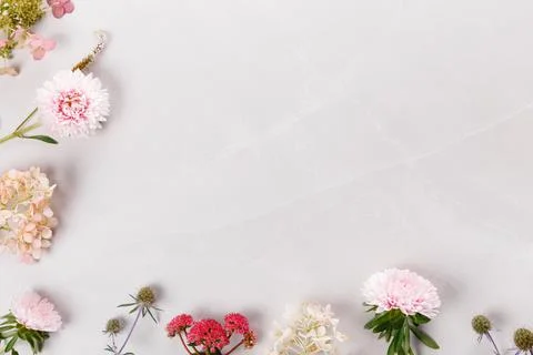 Autumn creative composition, frame from aster hydrangea flowers on a gray marble Foto stock