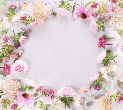 Autumn creative composition, frame from aster hydrangea flowers on a gray marble Foto stock
