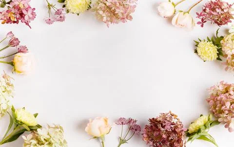 Autumn creative composition roses, hydrangea flowers on gray background. Fall Foto stock