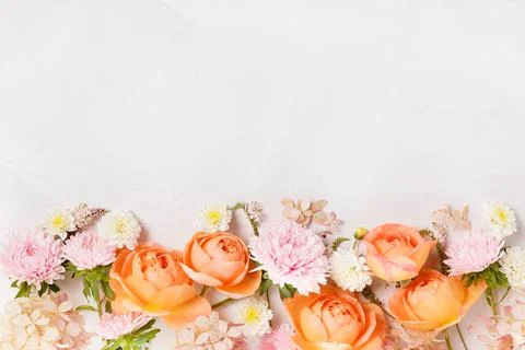 Autumn creative composition roses, hydrangea flowers on gray background. Fall Stock Photos