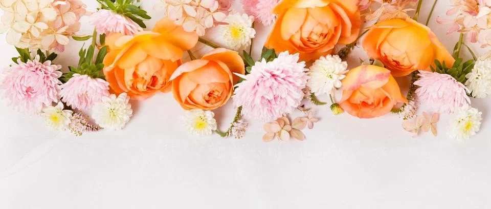 Autumn creative composition roses, hydrangea flowers on gray background. Fall Foto stock
