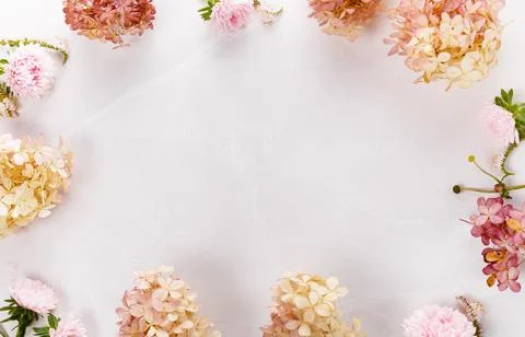Autumn creative composition roses, hydrangea flowers on gray background. Fa.. 写真素材