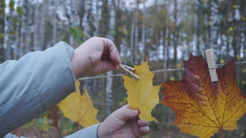 Autumn creative. Composition with yellow leaves Stock-Footage 143452792