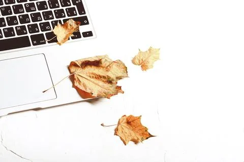 Autumn creative work composition. Laptop keyboard and autumn leaf Stock Photos