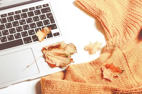 Autumn creative work composition. Laptop keyboard and autumn leaf Stock Photos