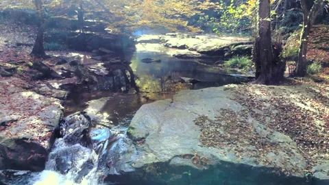 Autumn creek flows through leaf covered forest with golden trees - Autumn Leaves Stock Footage 339966870