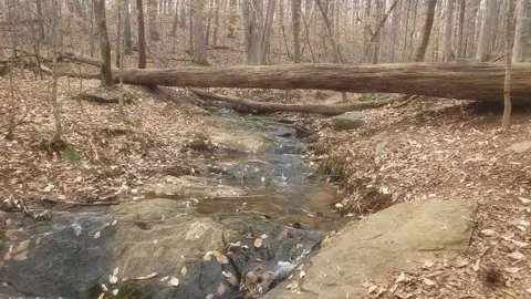 Autumn Creek Stock Footage 144707355