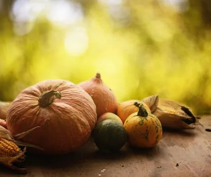 Autumn crops Stock-Fotos