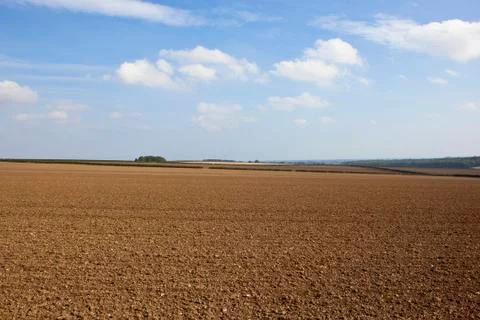 Autumn cultivated fields Stock Photos