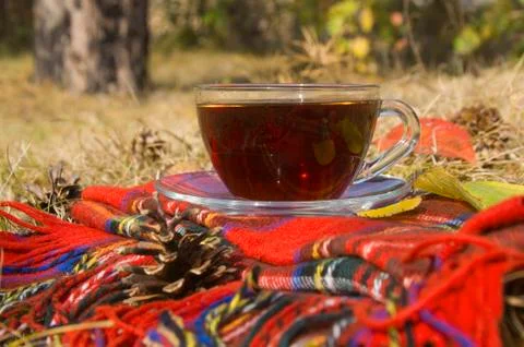 Autumn cup of tea Stockfoto's