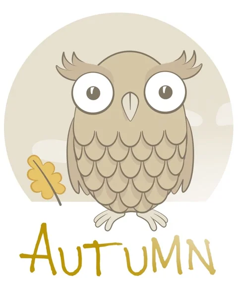 Autumn, cute brown owl Stock Footage 301690223