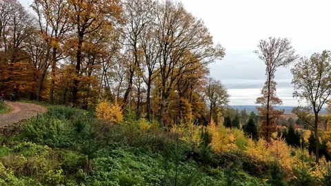 Autumn Cycling Mountain Pine Beech Oak Evergreen 库存影片 228675191