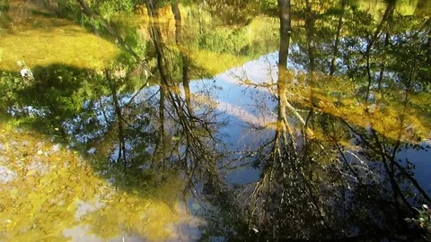Autumn dance in the water Stock Footage 82701776