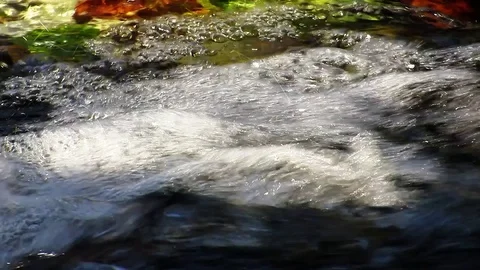 Autumn Dancing Water Stock Footage 82701735
